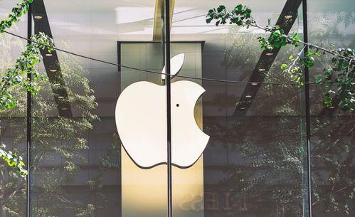 苹果11新机爆料视频,揭秘外观设计及全新功能亮点  第2张