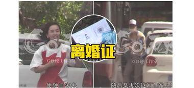 名星热点爆料最新消息,明星动向大揭秘，最新动态一网打尽！